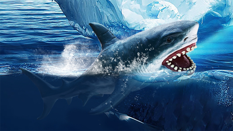 Sea Animal Toy
